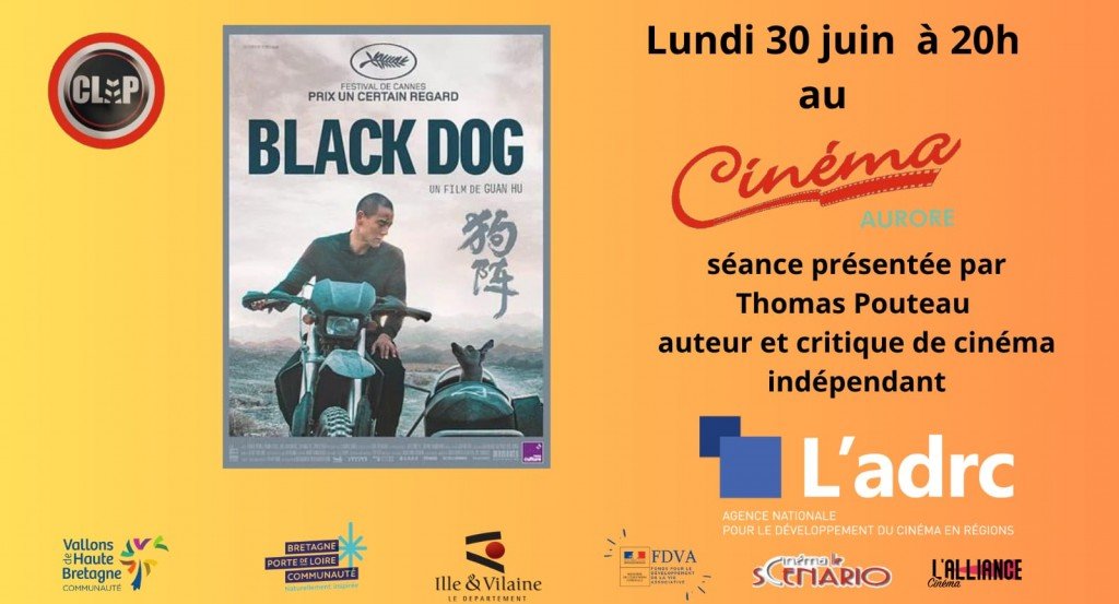 actualité BLACK DOG